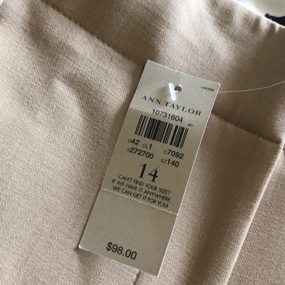 Ann Taylor Dress Pant